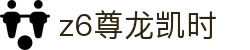 Z6尊龙·凯时(中国) - 官方网站